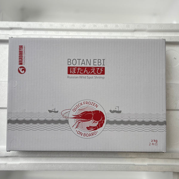 🎗️BOTAN EBI  M<br/>ボタン海老 M🉐