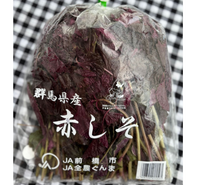 AKA SHISO<br>赤紫蘇