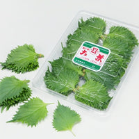 大葉<br>OHBA