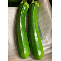 ズッキーニ<BR> ZUCCHINI