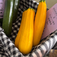 ズッキーニ<BR> ZUCCHINI