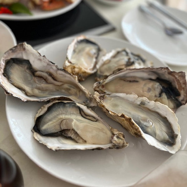 OYSTER WHOLE WITH SHELL JAPAN<br/>冷凍殻付き　生食用牡蠣 6個