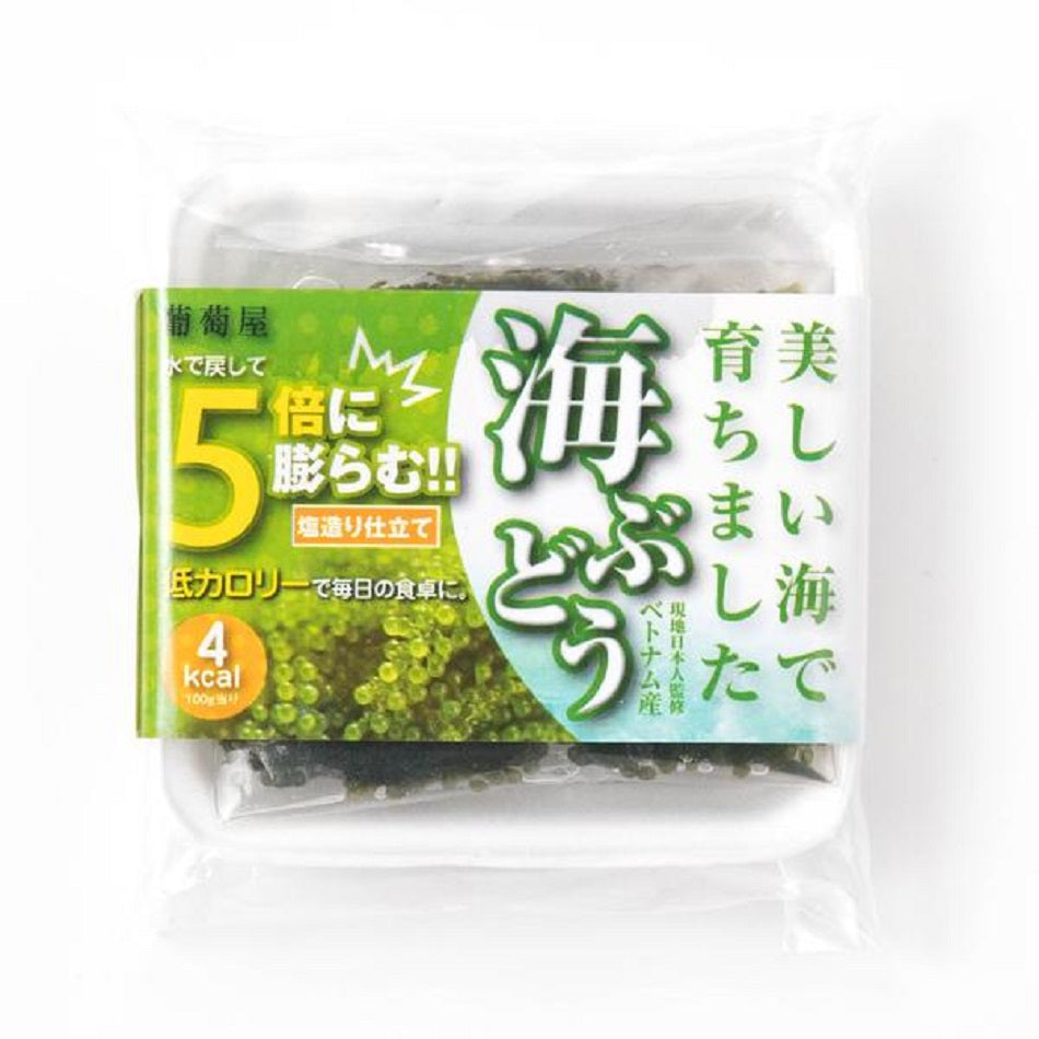 うみぶどう 楽天市場】[沖縄フレッシュ] うみぶどう 沖縄県産 海ぶどう 50g